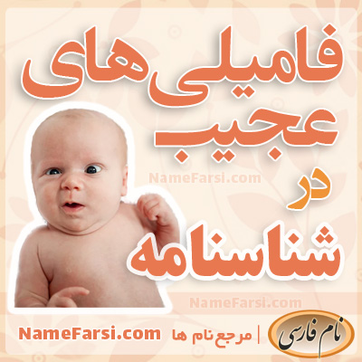 نام خانوادگی های عجیب