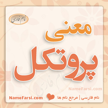 معنی پروتکل