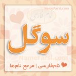 معنی اسم سوگل