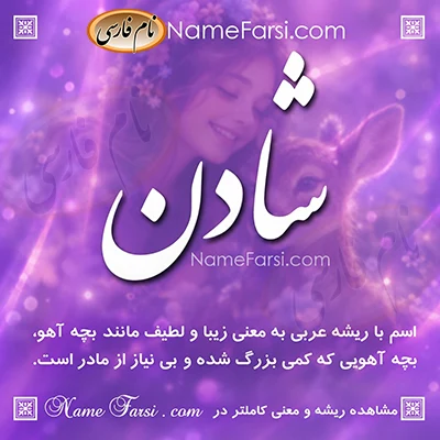 معنی شادن